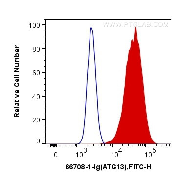 KIAA0652 Antibody in Flow Cytometry (Flow)