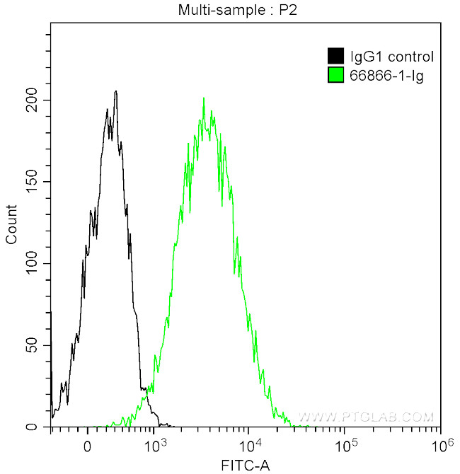 CD81 Antibody in Flow Cytometry (Flow)