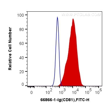 CD81 Antibody in Flow Cytometry (Flow)