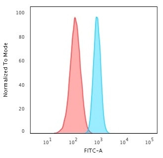 Spectrin beta III (SPTBN2) Antibody in Flow Cytometry (Flow)