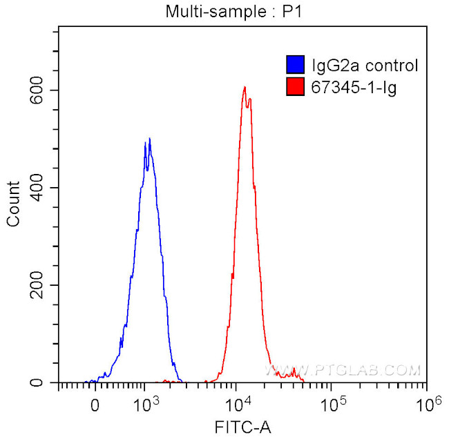 TDP-43 Antibody in Flow Cytometry (Flow)