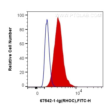 RHOC Antibody in Flow Cytometry (Flow)