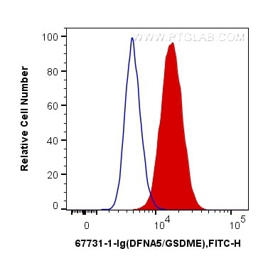 DFNA5 Antibody in Flow Cytometry (Flow)