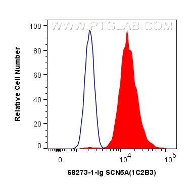 SCN5A Antibody in Flow Cytometry (Flow)