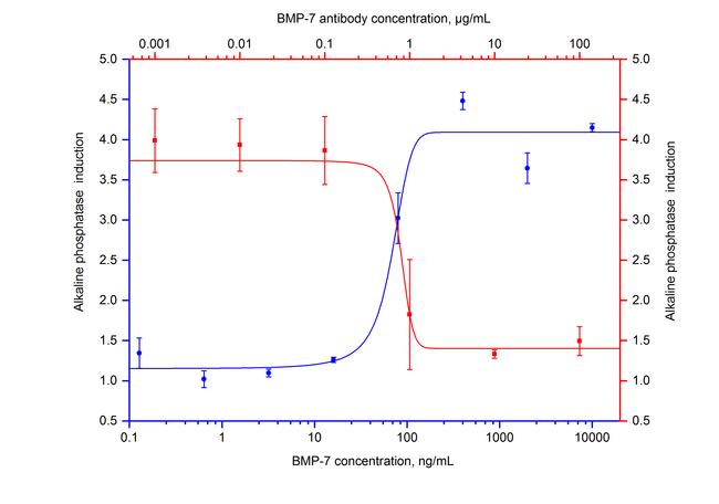 BMP-7 Antibody in Neutralization (Neu)
