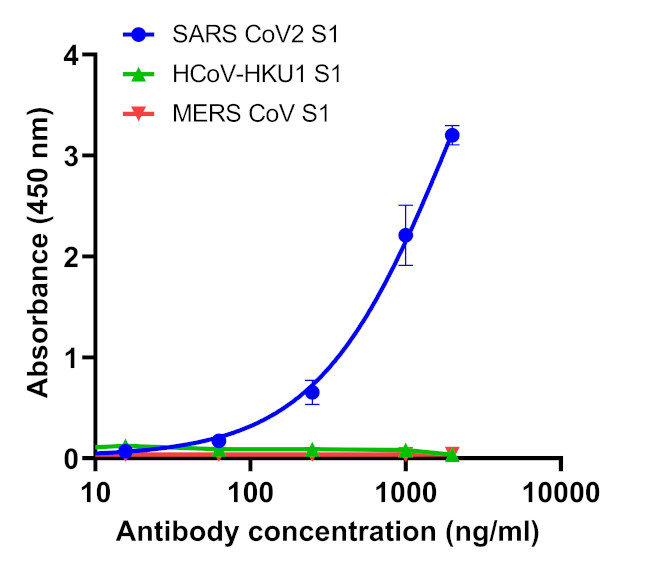 SARS-CoV-2 Spike Protein (RBD) Chimeric Antibody