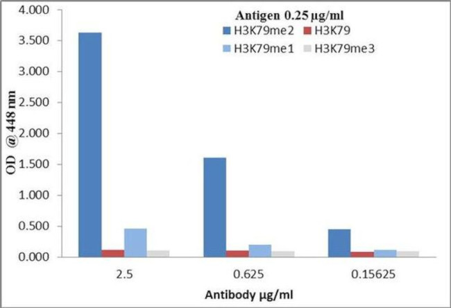 H3K79me2 Antibody in ELISA (ELISA)