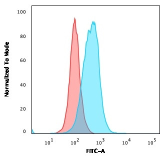 Thymidylate Synthase Antibody in Flow Cytometry (Flow)