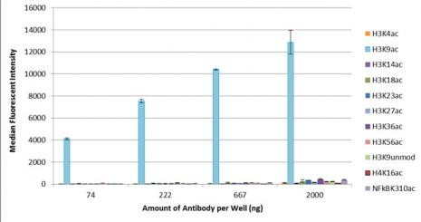 Histone H3K9ac Antibody in ELISA (ELISA)