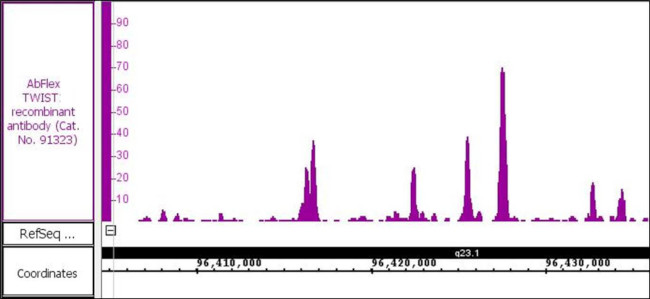 TWIST Antibody in ChIP-Sequencing (ChIP-Seq)