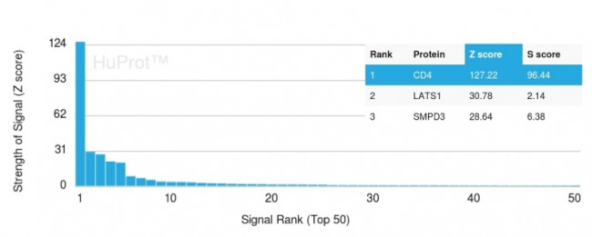 CD4 (T-Helper/Inducer Cell Marker) Antibody in Peptide array (ARRAY)