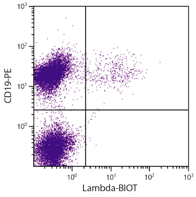 Mouse Lambda Light Chain Secondary Antibody in Flow Cytometry (Flow)