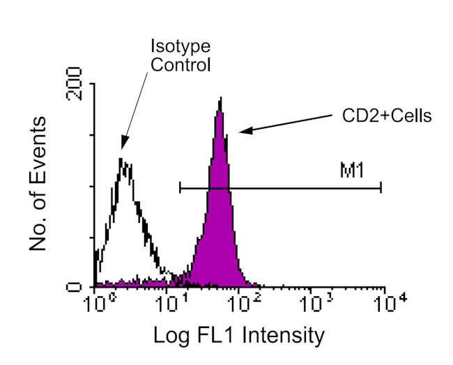 CD2 Antibody in Flow Cytometry (Flow)