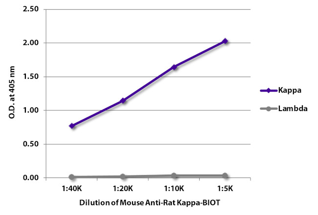 Rat Kappa Light Chain Secondary Antibody in ELISA (ELISA)