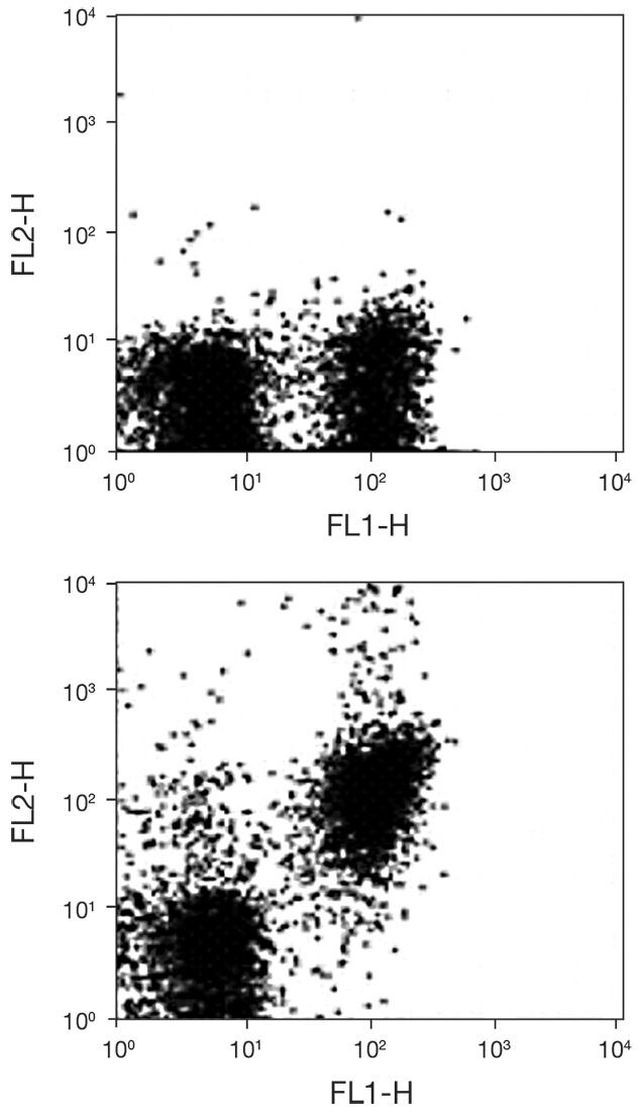 CD28 Antibody in Flow Cytometry (Flow)