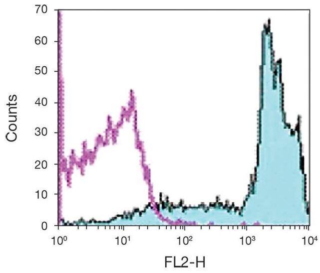 CD45RB Antibody in Flow Cytometry (Flow)