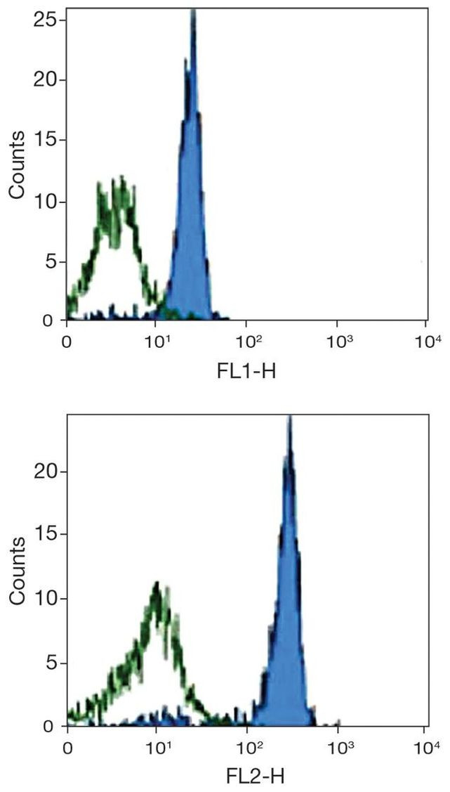 CD61 Antibody in Flow Cytometry (Flow)