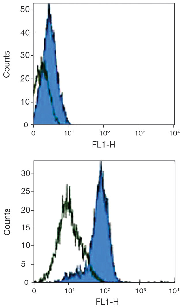 CD205 Antibody in Flow Cytometry (Flow)