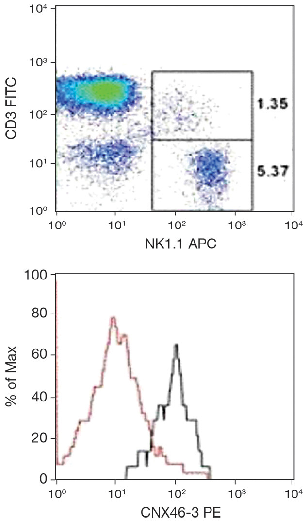 CD160 Antibody in Flow Cytometry (Flow)