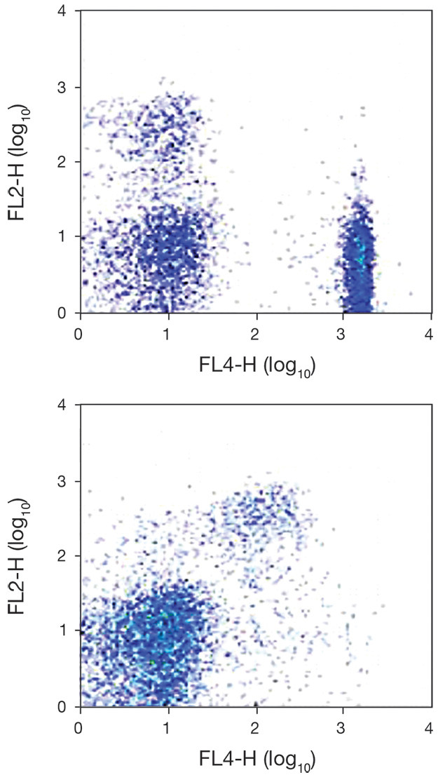 CXCR2 Antibody in Flow Cytometry (Flow)