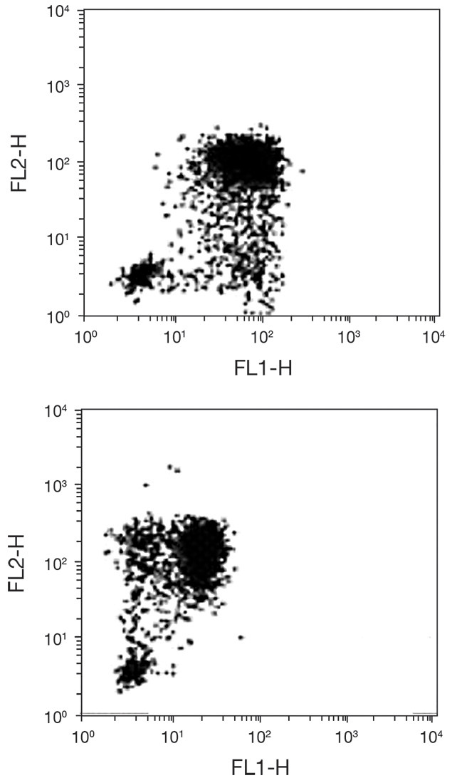 IL-1 beta Antibody in Flow Cytometry (Flow)