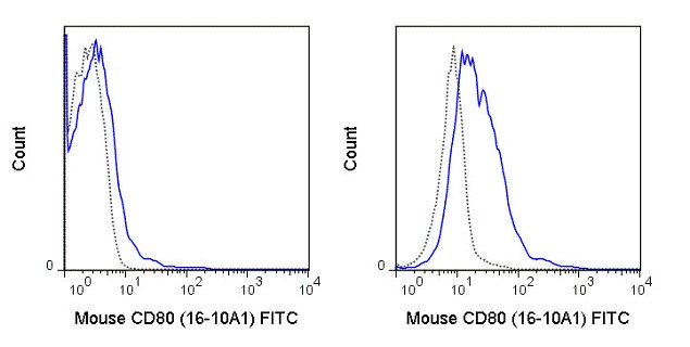 CD80 Antibody in Flow Cytometry (Flow)