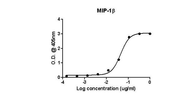 Mouse IgG (H+L) Secondary Antibody in ELISA (ELISA)