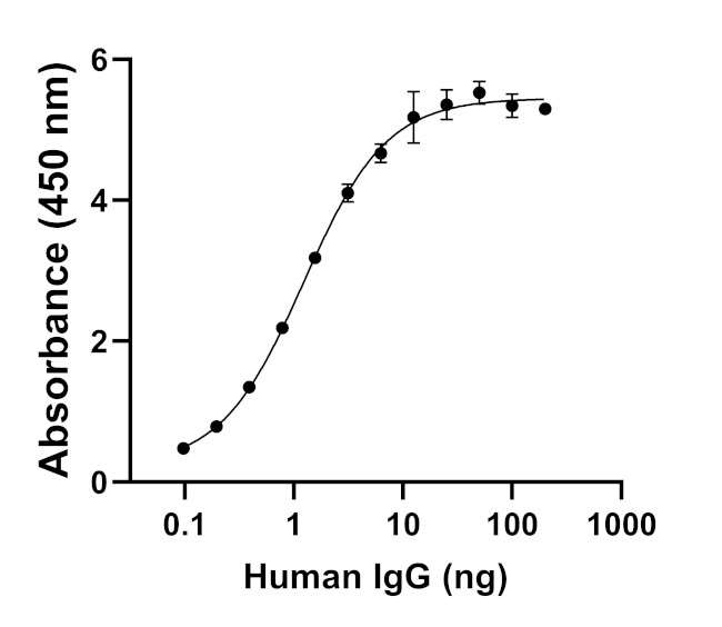 Human IgG (H+L) Secondary Antibody in ELISA (ELISA)