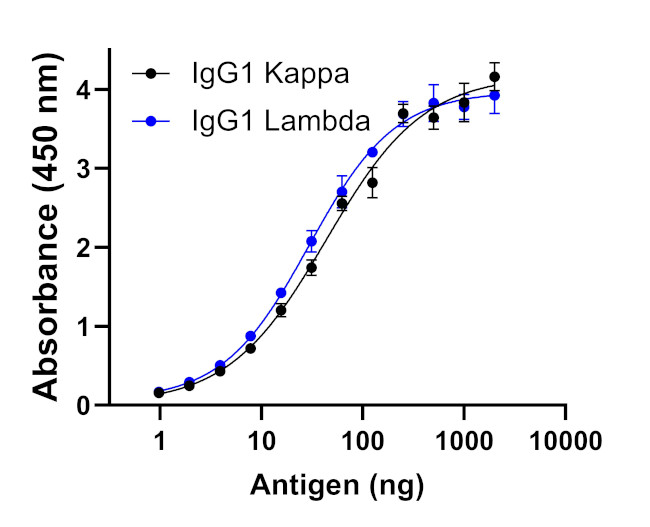 Human IgG (Light chain) Secondary Antibody in ELISA (ELISA)