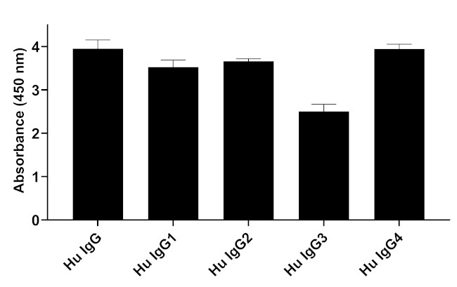 Human IgG Fab Secondary Antibody