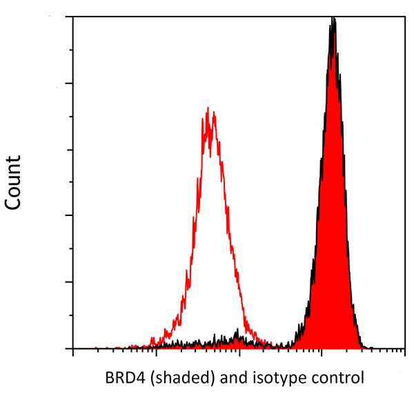 BRD4 Antibody in Flow Cytometry (Flow)