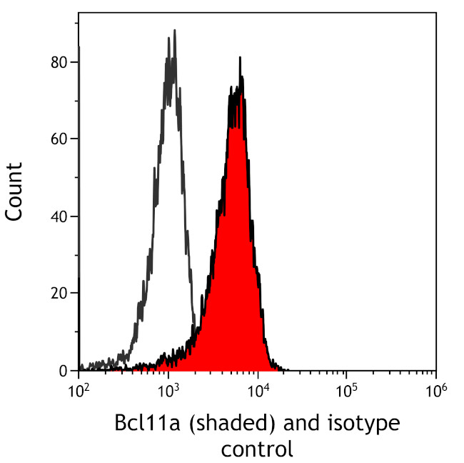 Bcl11a Antibody in Flow Cytometry (Flow)