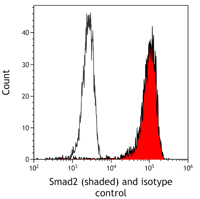 SMAD2 Antibody in Flow Cytometry (Flow)