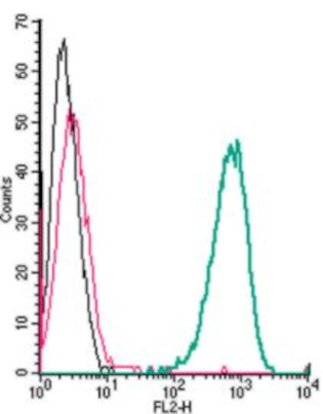 Adenosine A2A Receptor (extracellular) Antibody in Flow Cytometry (Flow)