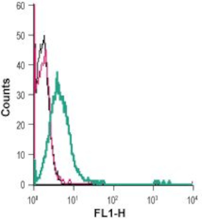 Angiotensin II Receptor Type-1 (extracellular) Antibody in Flow Cytometry (Flow)