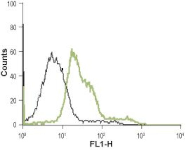alpha 1B-Adrenergic Receptor (extracellular) Antibody in Flow Cytometry (Flow)