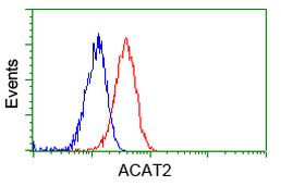 ACAT2 Antibody in Flow Cytometry (Flow)