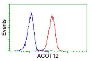 ACOT12 Antibody in Flow Cytometry (Flow)