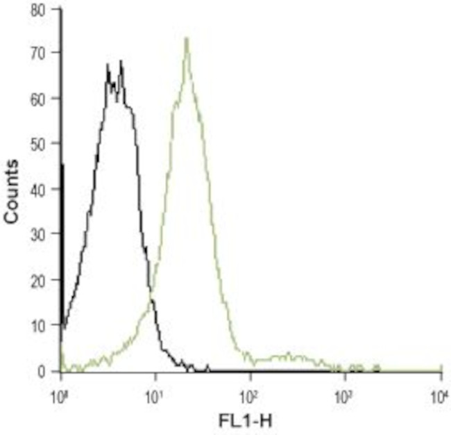 CXCR2 (extracellular) Antibody in Flow Cytometry (Flow)