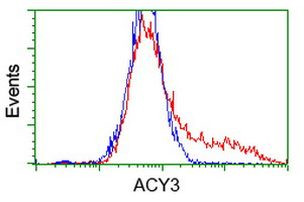 ACY3 Antibody in Flow Cytometry (Flow)