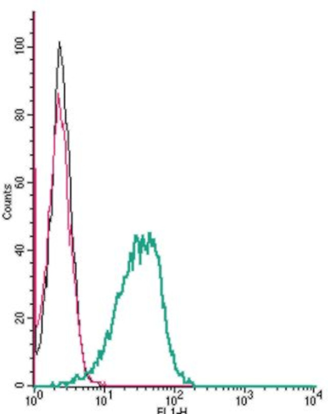 D5 Dopamine Receptor (extracellular) Antibody in Flow Cytometry (Flow)