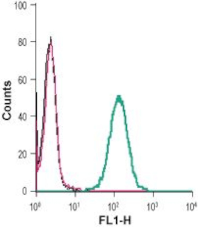 EphB4 (extracellular) Antibody in Flow Cytometry (Flow)