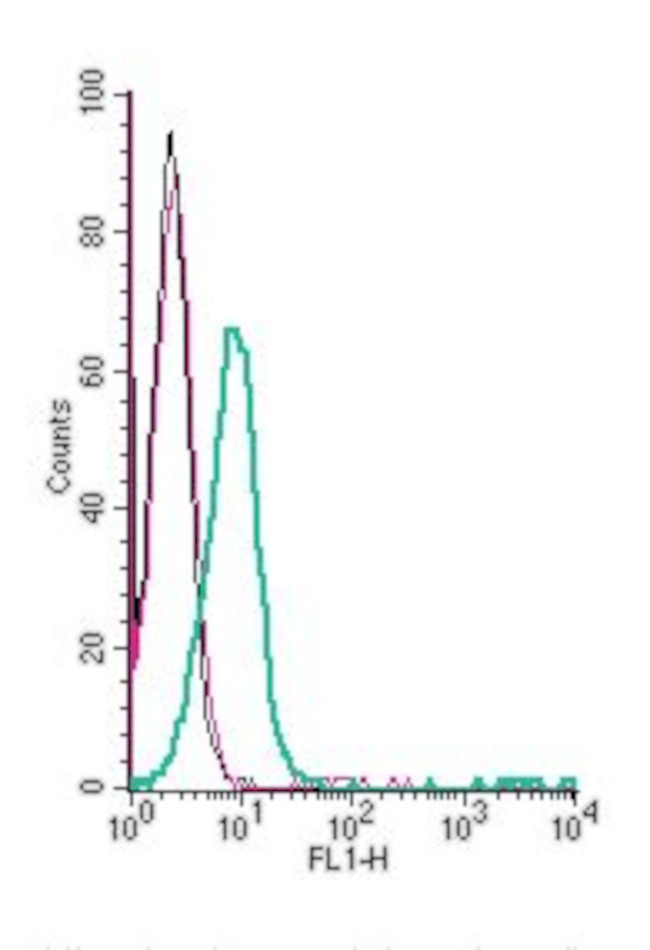 GABA(A) alpha 1 Receptor (extracellular) Antibody in Flow Cytometry (Flow)