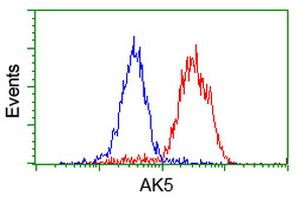 AK5 Antibody in Flow Cytometry (Flow)