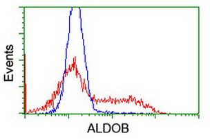 ALDOB Antibody in Flow Cytometry (Flow)