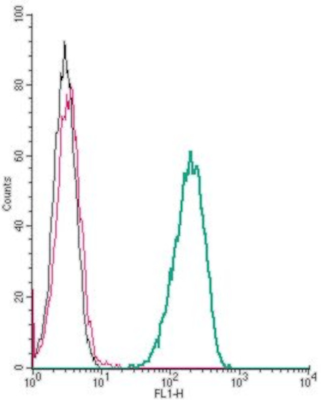 Latrophilin-1 (LPHN1) (extracellular) Antibody in Flow Cytometry (Flow)