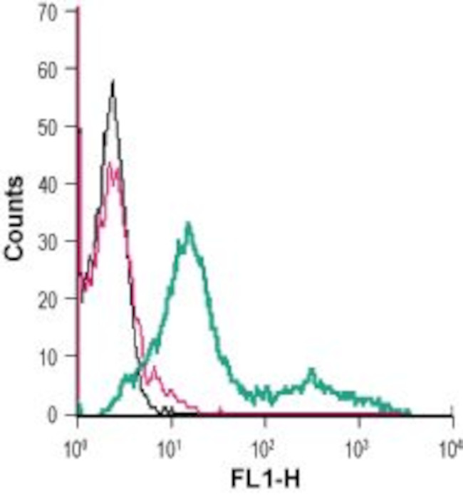 MCT1 (SLC16A1) (extracellular) Antibody in Flow Cytometry (Flow)