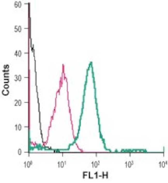 Nicotinic Acetylcholine Receptor alpha 7 (CHRNA7) (extracellular) Antibody in Flow Cytometry (Flow)