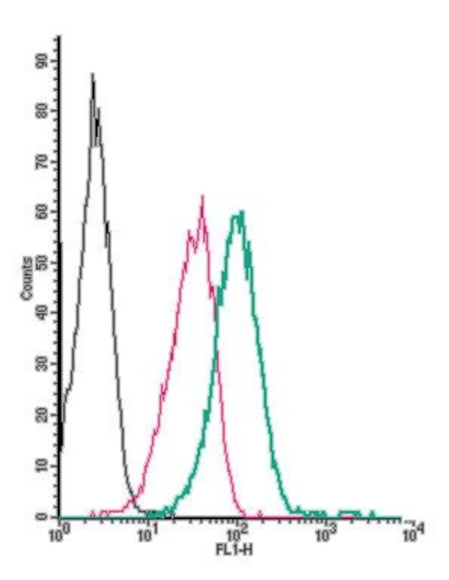 NPY1R (extracellular) Antibody in Flow Cytometry (Flow)