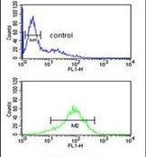 ANR49 Antibody in Flow Cytometry (Flow)